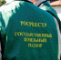 Топ 5 вопросов, поступающих от населения госземинспекторам. - Администрация г. Ессентуки