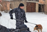 В Ессентуках служба отлова безнадзорных животных перешла на особый график работы.